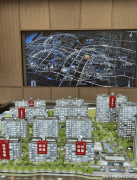 <b>次要内容包罗：告贷人的根基环境（告贷人名</b>